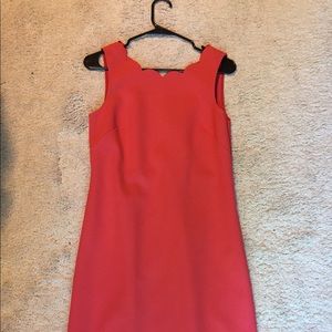 J.Crew Factory Dress with Scallop Details
